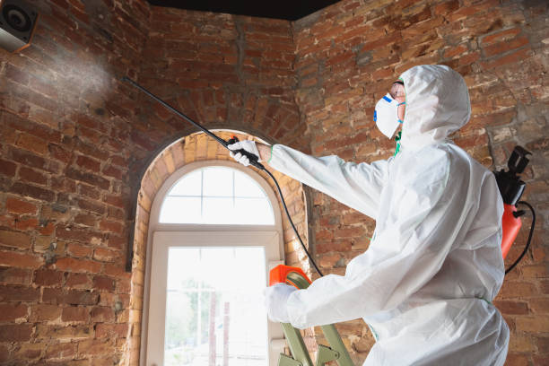 Best Biohazard Mold Removal  in Sand Springs, OK